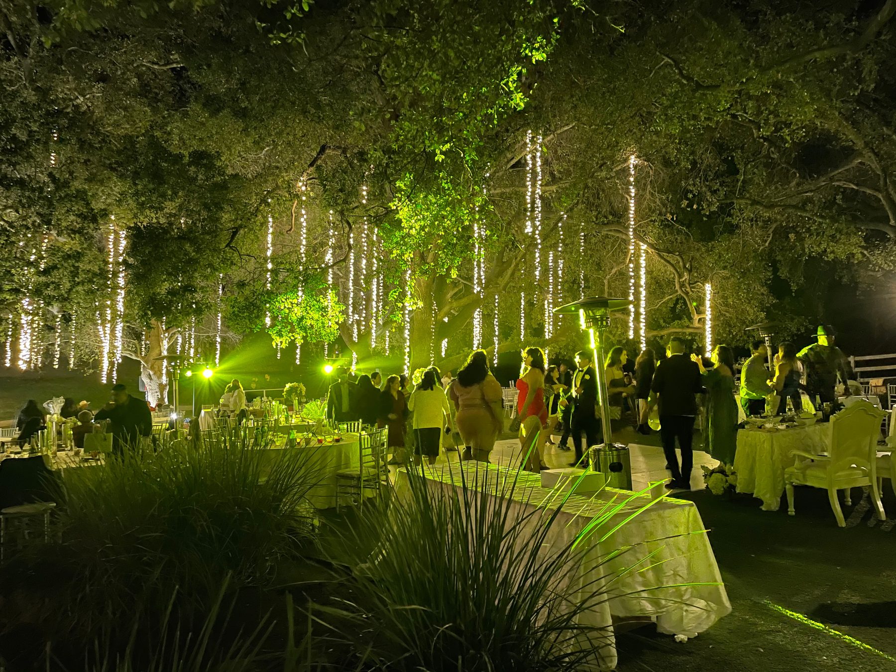 Luxury wedding reception production DJ Cristian